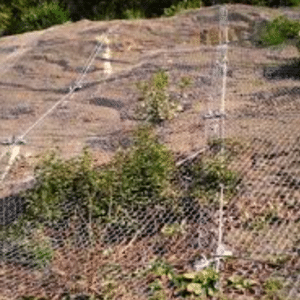 Century Mesh Rockfall Netting 2.0 x 50m